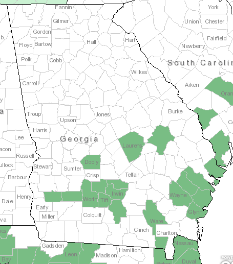 The Georgia range of lanceolata